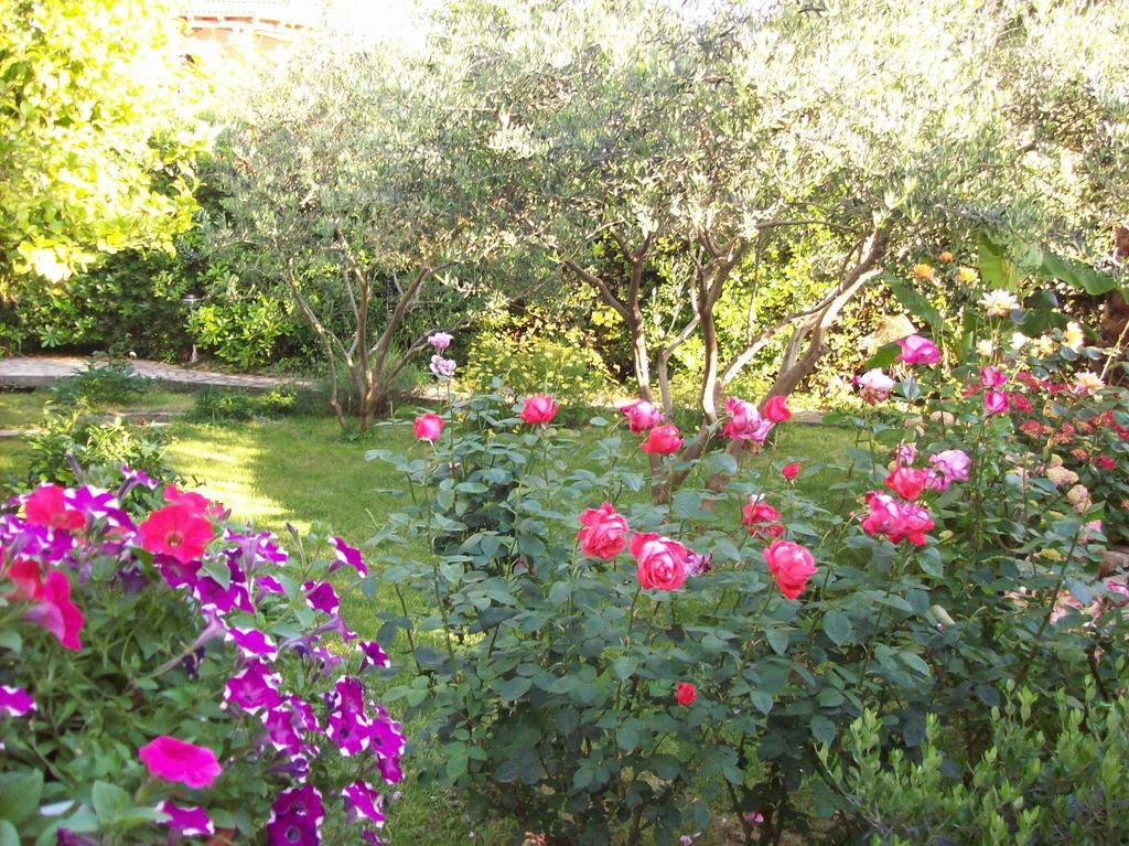 Apartments Rozic Rab Town Bagian luar foto